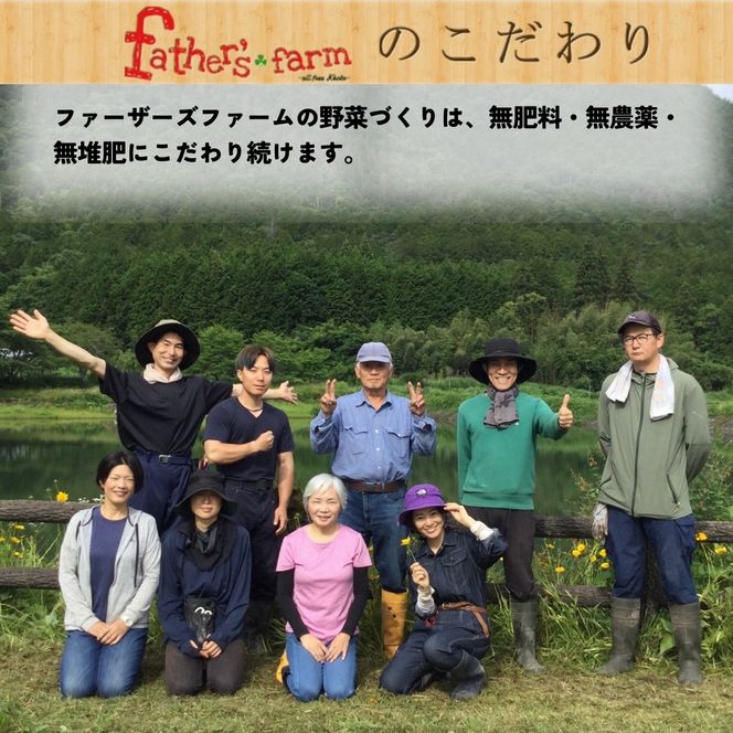 旬のこだわり 京野菜 セット 6～10種類＜ファーザーズファーム＞栽培期間中農薬不使用｜野菜 野菜詰め合わせ 野菜セット 京野菜 旬の野菜 新鮮野菜 ※北海道・沖縄・離島への配送不可