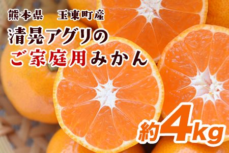 ご家庭用『清晃アグリ』のご家庭用みかん★約4kg(2S-2Lサイズ) 予約受付中 フルーツ 秋 旬★熊本県玉名郡玉東町 健康な土で育つジューシーおいしいみかん!ちょこっと訳あり[11月中旬-12月末頃出荷(土日祝除く)]---sg_wagurimikan_bc11_24_7500_4kg---