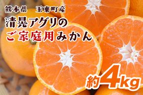 ご家庭用『清晃アグリ』のご家庭用みかん★約4kg(2S-2Lサイズ) 予約受付中 フルーツ 秋 旬★熊本県玉名郡玉東町 健康な土で育つジューシーおいしいみかん！ちょこっと訳あり《11月中旬-12月末頃出荷(土日祝除く)》---sg_wagurimikan_bc11_24_7500_4kg---