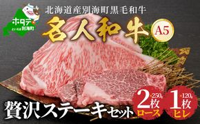 贅沢ステーキセット 計 620g 北海道 別海町産 黒毛和牛「 名人和牛」 A5クラス （ロースステーキ250ｇ×2枚、ヒレステーキ120ｇ×1枚）【TB0000005】