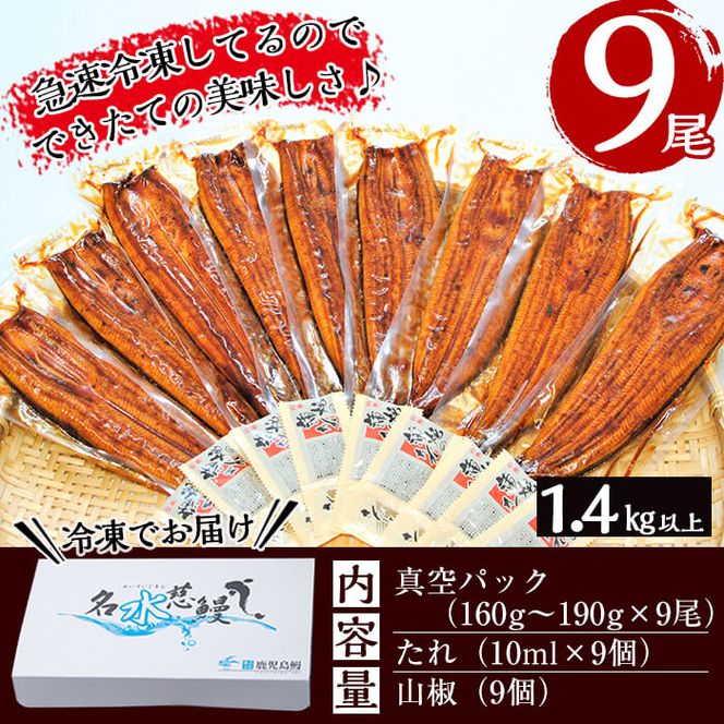 鹿児島県産うなぎ蒲焼 名水慈鰻 大9尾(1尾160g以上)＜計1.4kg以上＞ e8-001