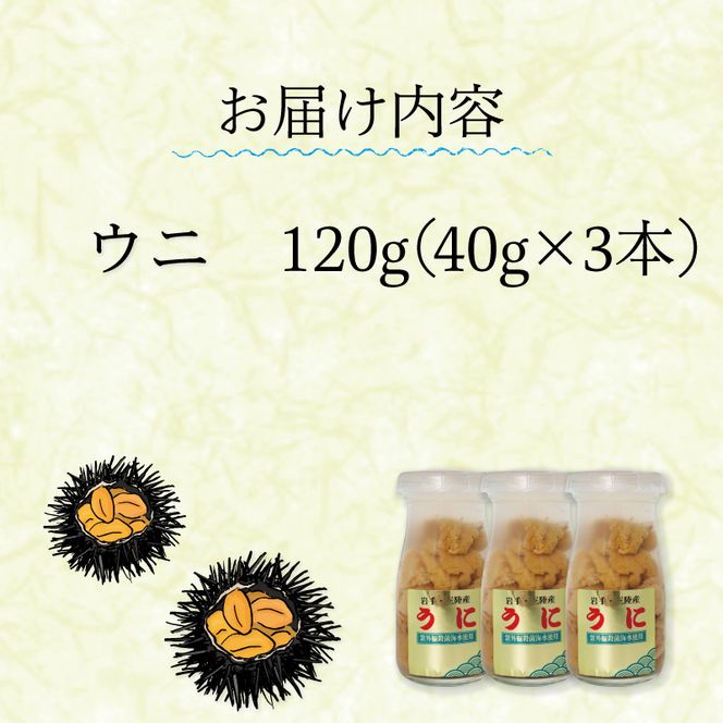 生うに 120g (40g×3本) 牛乳瓶 冷蔵 ミョウバン不使用 添加物無添加 うに ウニ 雲丹 [michinoeki01_1]
