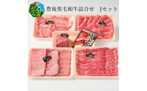 【A01048】豊後黒毛和牛詰合せ　Jセット約2.5kg