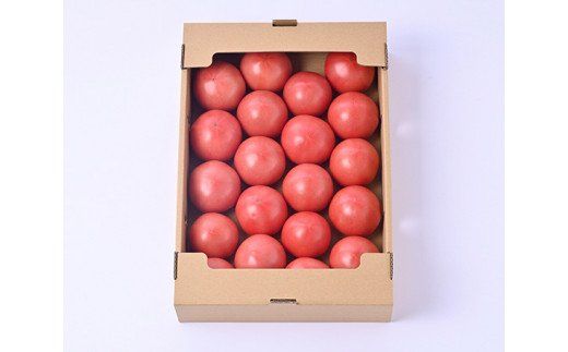 志宝トマト 約 4kg [モアショップヤマモト 石川県 宝達志水町 38600650] トマト とまと 野菜 食品 石川県産