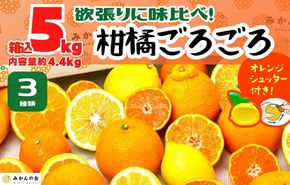 旬の柑橘食べ比べ 柑橘ごろごろ 3種 箱込 5kg(内容量約 4.4kg) 秀品 優品 混合 和歌山県産 産地直送 【おまけ付き】【みかんの会】  AX248