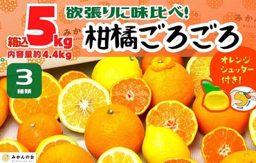 旬の柑橘食べ比べ 柑橘ごろごろ 3種 箱込 5kg(内容量約 4.4kg) 秀品 優品 混合 和歌山県産 産地直送 【おまけ付き】【みかんの会】AX248