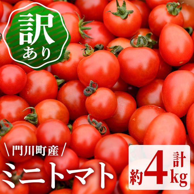 訳あり・規格外！数量限定の門川町産ミニトマト(計約4kg)フルーツ