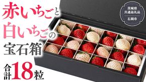 赤いちご と 白いちご の宝石箱 18粒 【令和6年12月から発送開始】（県内共通返礼品：石岡市産） 果物 フルーツ いちご イチゴ 苺 白苺 贈答 ギフト [BI335-NT]