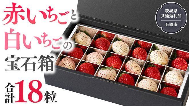 赤いちご と 白いちご の宝石箱 18粒 【令和6年12月から発送開始】（県内共通返礼品：石岡市産） 果物 フルーツ いちご イチゴ 苺 白苺 贈答 ギフト [BI335-NT]