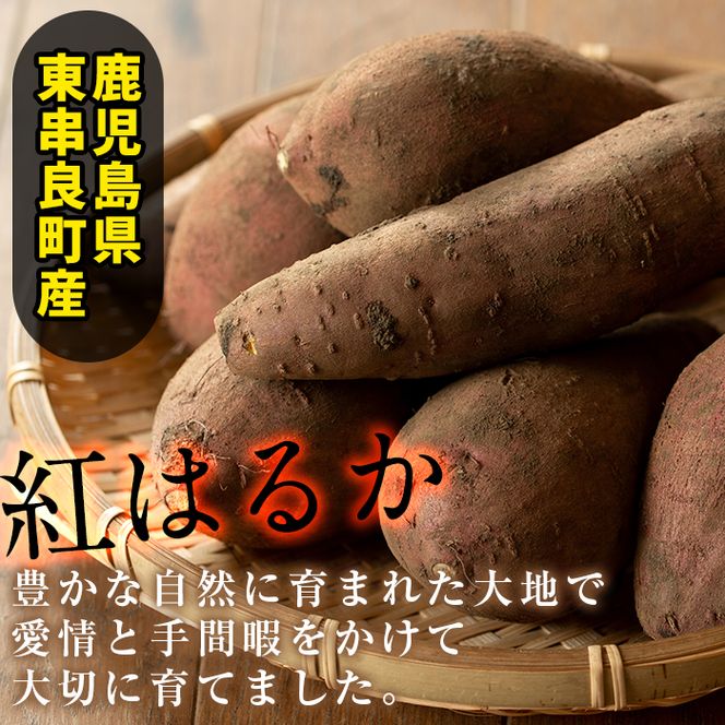 【0122619a】東串良の紅はるか冷凍焼き芋(合計約2kg・1kg×2袋)冷凍 焼芋 焼き芋 やきいも さつまいも さつま芋 スイーツ 熟成【甘宮】