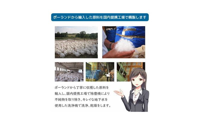 AM027 【シングル】【プレミアムゴールドラベル】コウダ種ポーランドマザーグース95%羽毛肌掛け【新津】｜肌掛け