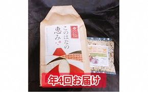 年4回定期便！特別栽培米5kgとおためし八穀米◇