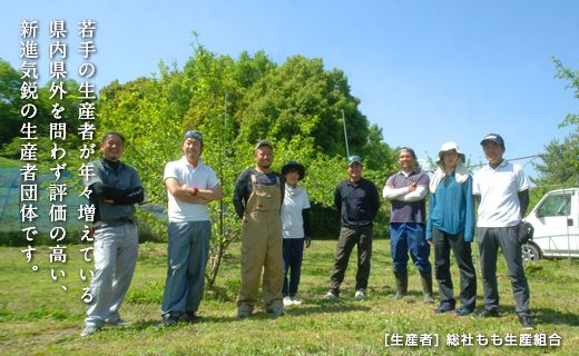 白桃「冬桃がたり」岡山県総社もも生産組合【2024年産先行予約】24-030-028