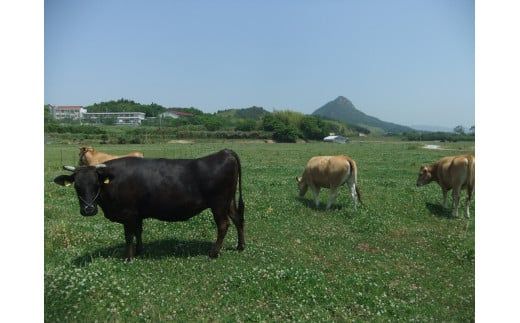 D007 山口放牧牛「サーロインしゃぶしゃぶスライス」