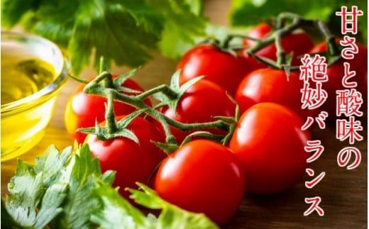 y啪szRsՂIY~jg}g3kg_0260N