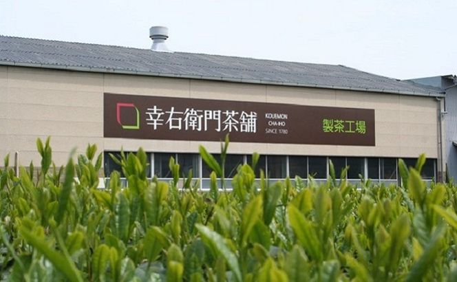 狭山銘茶　江戸の道　HAD002