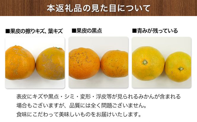  みかん 先行予約 旬【日付指定不可】 ご家庭用 訳あり 『坂田農園』 ご家庭 用 みかん 約 5kg (2S-2Lサイズ) 熊本 予約 受付中 フルーツ 秋 旬 玉東 町 濃厚 食味 ジューシー 果汁 熊本県玉東町《10月上旬-1月末頃出荷》---gkt_skt_5_5kg---