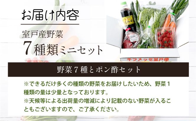 野菜セット  詰め合わせ 7種 ( 特製ポン酢付 )  新鮮 旬 春夏秋冬 おまかせ 5000円 送料無料!