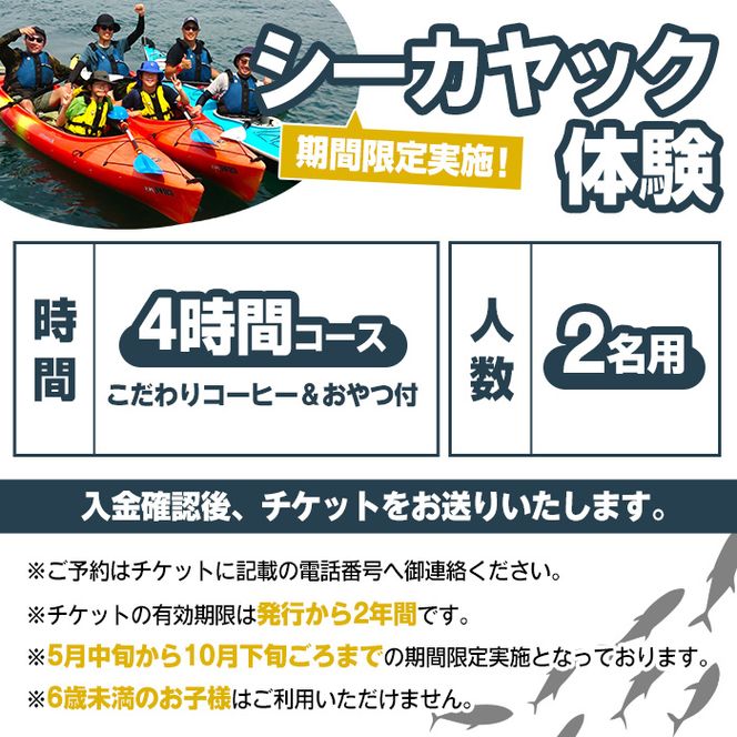 期間限定実施 シーカヤック体験チケット(4時間/2名) 阿久根 シーカヤック アウトドア アクティビティ 自然 体験 ツアー チケット マリンスポーツ【パズル】a-54-8