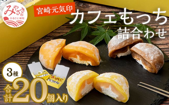 宮崎元気印カフェもっち(大福)詰合わせ(カフェもっち10個・日向夏もっち5個・マンゴっち5個)_M041-002