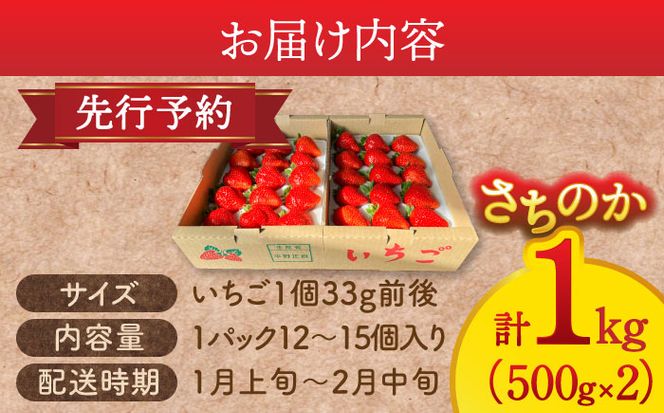 さちのかいちご 500g×2パック 計1kg　イチゴ　フルーツ　果物　愛西市/平野苺[AEAY001]