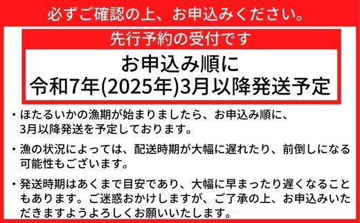 【ほたるいか 鮮度抜群 ボイル 小分け 250g×2パック 500g 酢味噌付 兵庫県産 冷蔵】【先行予約：令和7年3月以降発送予定】 生ほたるいかを水揚げ後すぐにボイル その日のうちに発送 新鮮さが