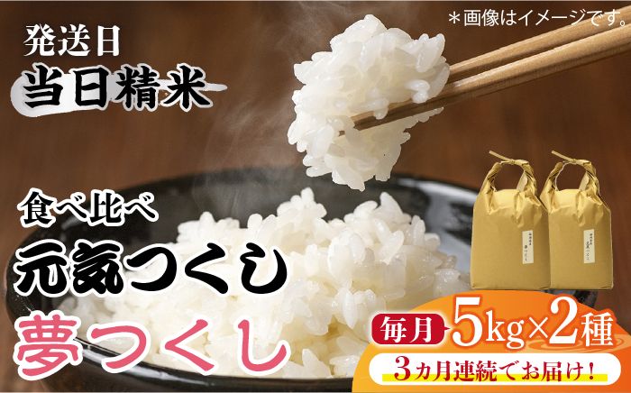 [先行予約][全3回定期便]福岡県産[特A米]元気つくし[A米]夢つくしの食べ比べ 各5kg×2袋 [10kg] [白米][2024年11月下旬以降順次発送][築上町][株式会社ベネフィス][ABDF124]