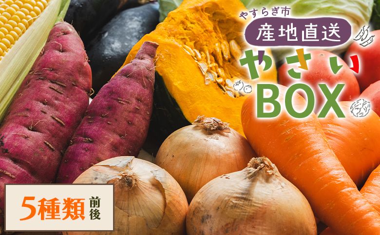 野菜 野菜セット 5種類前後 やさいBOX やすらぎ市 産地直送 野菜 ベジタブル おまかせ 詰め合わせ セット 季節 旬 お任せ お楽しみ ヘルシー 国産 高知県 香南市 yr-0027