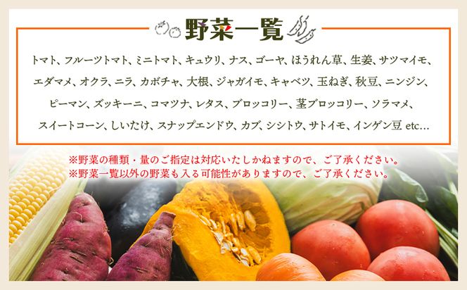 野菜セット 野菜 野菜詰め合わせ １０種類前後 【先行予約】ベジタブル ヘルシー 詰め合わせ セット 季節 旬 おまかせ 10種類前後 国産 特産品 高知県 冷蔵 やすらぎ市 産地直送やさいＢＯＸ yr-0011