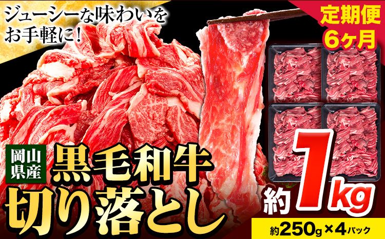牛肉 肉 黒毛和牛 切り落とし 訳あり 大容量 小分け[定期便] 1kg 1パック 250g 6回 [お申込月の翌月より発送]岡山県産 岡山県 笠岡市 お肉 にく カレー 牛丼 切り落し 切落し---kasaoka_zsy_8_1_6tei---
