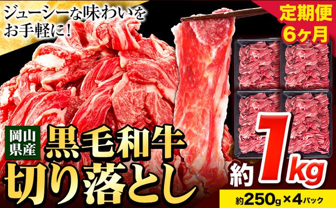 牛肉 肉 黒毛和牛 切り落とし 訳あり 大容量 小分け【定期便】 1kg 1パック 250g 6回 《60日以内に出荷予定(土日祝除く)》岡山県産 岡山県 笠岡市 お肉 にく カレー 牛丼 切り落し 切落し---223_f740tei_23_60000_6kg---