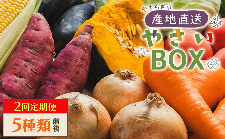 野菜 定期便 人気 2回定期便 やさいBOX(5種類前後) 野菜 ベジタブル おまかせ 詰め合わせ セット 季節 旬 お任せ お楽しみ ヘルシー 国産 高知県 香南市 Wyr-0028