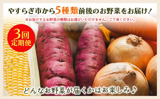 野菜 定期便 3か月 人気 5種類前後 3回定期便 やさいＢＯＸ やすらぎ市 産地直送 野菜 ベジタブル おまかせ 詰め合わせ セット 季節 旬 お任せ お楽しみ ヘルシー 国産 Wyr-0029