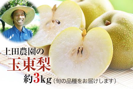『上田農園』の玉東梨　予約受付中　たっぷり約3kg  3-10玉前後《8月中旬-10月上旬頃出荷》 熊本県 玉名郡 玉東町 梨 ナシ フルーツ 果物 送料無料 ギフト 贈答 3kg---sg_cuedanashi_g810_r8_12000_3kg---