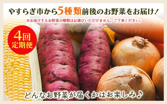 野菜 定期便 人気 4回定期便 やさいＢＯＸ（5種類前後） やすらぎ市 産地直送 野菜 ベジタブル おまかせ 詰め合わせ セット 季節 旬 お任せ お楽しみ ヘルシー 国産 Wyr-0030