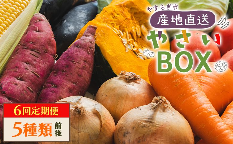 野菜 定期便 人気 6回定期便 やさいBOX(5種類前後) やすらぎ市 産地直送 - 野菜 ベジタブル おまかせ 詰め合わせ セット 季節 旬 お任せ お楽しみ ヘルシー 国産 Wyr-0032