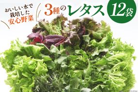 富山のおいしい水で生産した安心野菜（12袋）[北陸機材 富山県 舟橋村 57050150] 野菜 野菜セット フラワーリーフ フリルレタス マルチレタス 水耕栽培