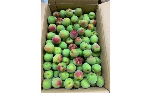 南高梅　2Lサイズ　5kg　マルシ農園 CC54