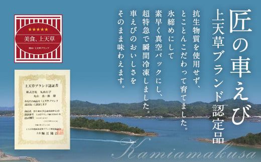 【上天草市ブランド認証品】匠の小さな車えび 300g (300g×1パック)