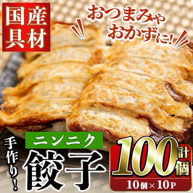 国産豚肉使用！手作りニンニク餃子(計100個・10個×10パック)国産 ギョウザ ぎょうざ お肉 にんにく おかず 惣菜 おつまみ【スーパーよしだ】a-12-113