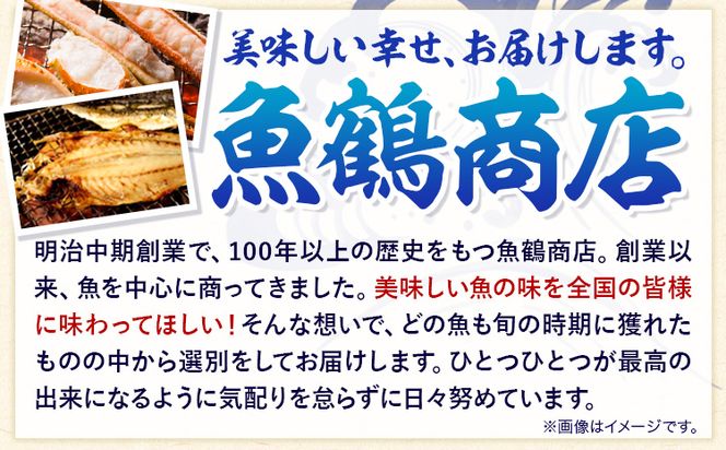 塩さばフィレ8枚入(真空パック入) 魚鶴商店《30日以内に出荷予定(土日祝除く)》 和歌山県 日高町 さば 塩サバ 鯖---wsh_futssbf_30d_23_11000_8p---