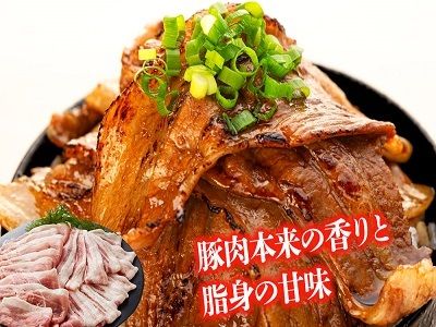 みゆきポーク　満喫　食べ尽くしセット(Ae-001)