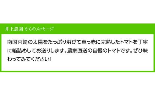 【令和8年発送】【訳あり】宮崎県産トマト　フルーツトマト「あいちゃん」3kg 【 野菜 ミニトマト とまと 宮崎県産 川南町産 野菜 産地直送 新鮮 数量限定 】[C03903]
