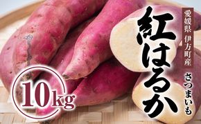 【先行受付】しっとりして甘い　紅はるか10kg ｜ さつまいも サツマイモ 焼き芋 やきいも 産地直送 スイート　※2024年9月中旬～2025年5月上旬頃まで順次発送予定