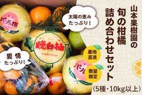 柑橘詰め合わせセット(5種類・10kg以上) 山本果樹園《12月上旬-1月上旬頃出荷》果物 フルーツ みかん---sh_ymmtbox_ad12_r7_15500_10kg---