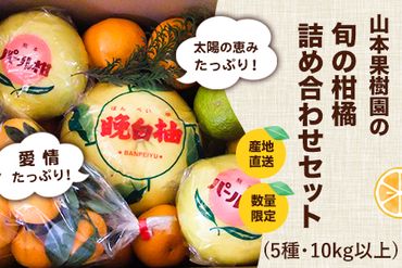 柑橘詰め合わせセット(5種類・10kg以上) 山本果樹園《12月上旬-1月末頃出荷》果物 フルーツ みかん---sh_ymmtbox_ad121_24_16000_10kg---