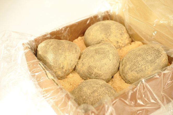 【期間限定】【化粧箱入り】木の山芋 2kg（4～6玉入） 232238_TT002-PR