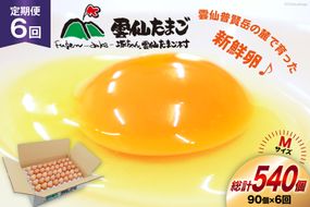 BI041 6回 定期便 たっぷり！ 雲仙たまごMサイズ 90個(85個＋割れ補償5個入り) [ 卵 たまご 生卵 鶏卵 赤卵 玉子 新鮮 塚ちゃん雲仙たまご村 長崎県 島原市 ]