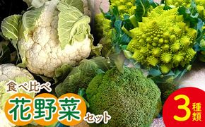 【先行受付】食べ比べセット ブロッコリー カリフラワー ロマネスコ 全3種 - やさい 詰め合わせ 詰合せ 簡単料理 朝採れ 新鮮 無農薬 産地直送 旬彩ファームやまさき sy-0007