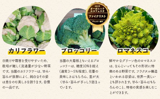【先行受付】食べ比べセット ブロッコリー カリフラワー ロマネスコ 全3種 - やさい 詰め合わせ 詰合せ 簡単料理 朝採れ 新鮮 無農薬 産地直送 旬彩ファームやまさき sy-0007